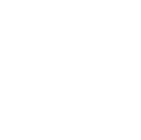 A Soul-Bird drawing by Sri Chinmoy